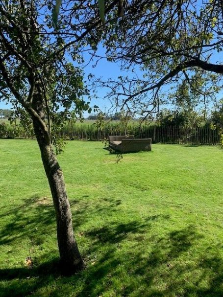 Garten mit Zaun